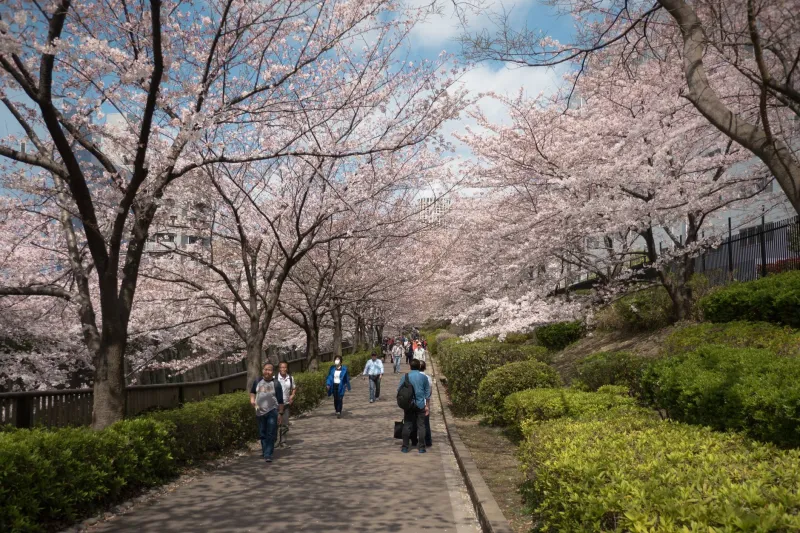 Built to Heal: How Sendai Turned Its Darkest Chapters Into Living Architecture