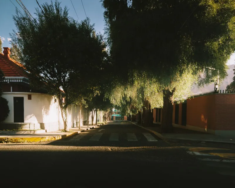 Quiet on Purpose: How Sendai's Everyday Rhythms Are Saving Burned-Out Americans