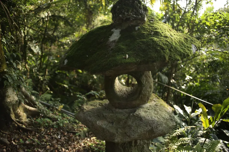 The Temples Nobody Photographs: Finding Sendai's Quietest Sacred Spaces