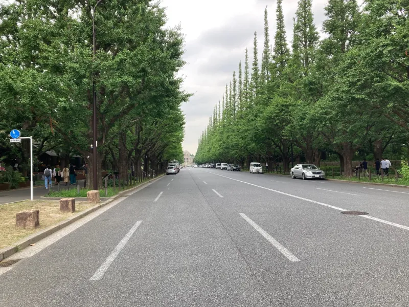 Blueprint for a Better City: What Sendai's Rebuilt Streets Can Teach the Rest of the World