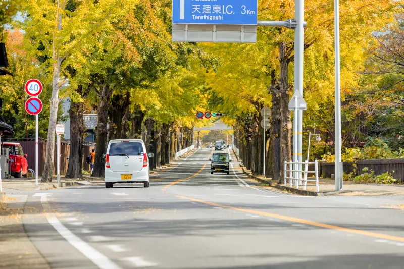 What If Your City Grew Like a Forest Instead of a Strip Mall? Sendai Has Answers